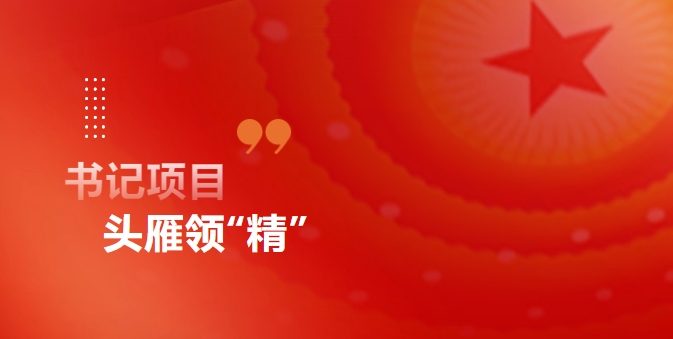 头雁领“精”丨书记项目，让物流成本大幅“瘦身”
